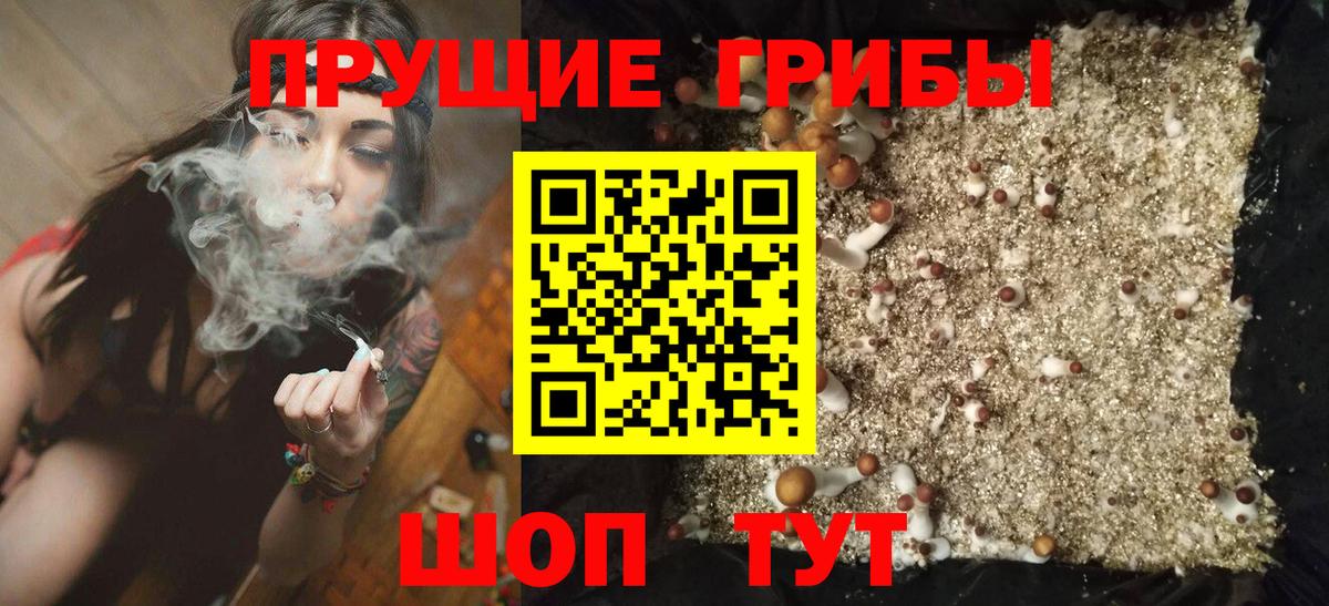 Трёхгорный  Галлюциногенные грибы Psilocybe  Вход с VPN 