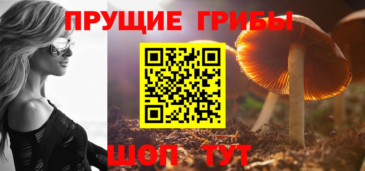 Галлюциногенные грибы мухоморы Трёхгорный